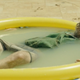 Image for article titled Last Man On Earth Manages To Make The Apocalypse Both Dark And Charming